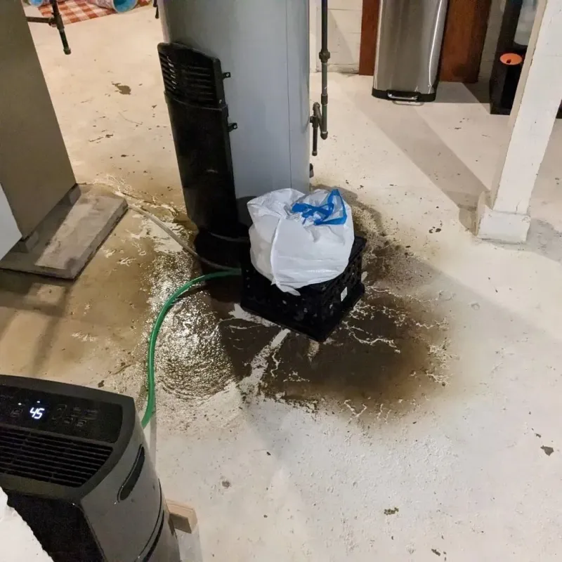 Sewage Backup Cleanup Service in Statenville, GA